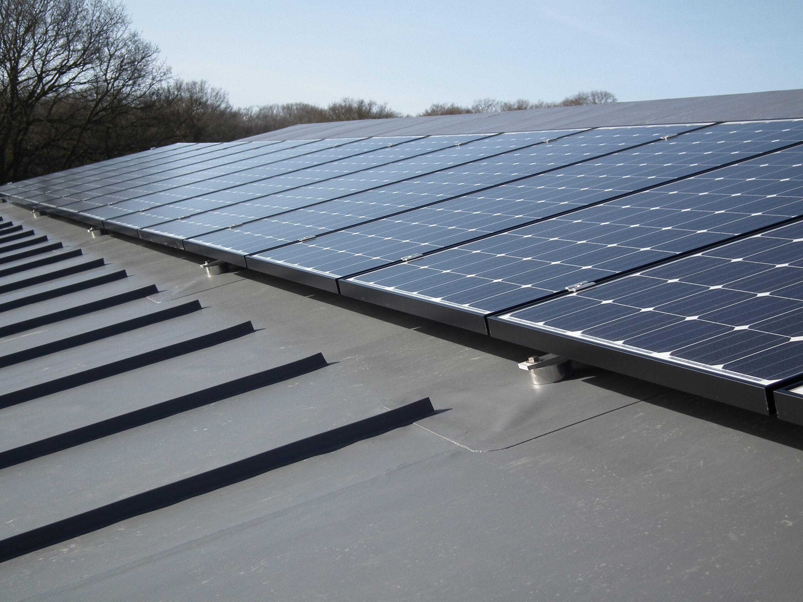 Off Grid Solar Package Same Day Granny Flats off-grid-solar-package-same-day-granny-flats